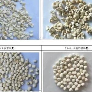 产地追踪：旱半夏产新价格腰斩，存量时代让破局之路漫长