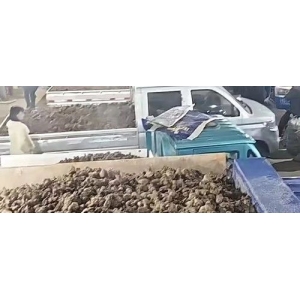 产新追踪：白术行情多扑朔迷离 后市如何看待？
