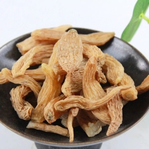 产地信息及时快讯