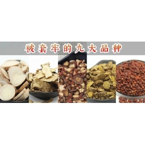 被套牢的九大品种