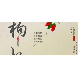 12月10日国家级万良人参市场最新价格