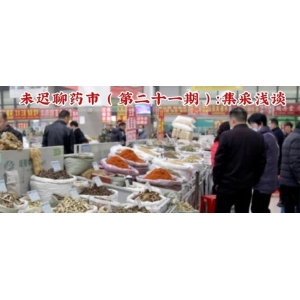 未迟聊药市（第二十一期）：集采浅谈