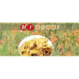 射干高价谢幕？