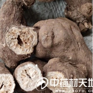 亳州药市12月点评：中药材价格指数持续向下 集采比较热议