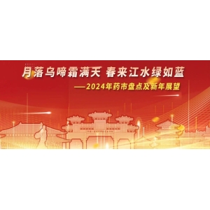 月落乌啼霜满天 春来江水绿如蓝——2024年药市盘点及新年展望