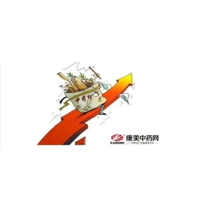 2024年涨价中药材排行榜