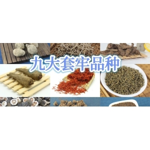 九大套牢品种
