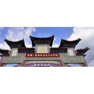 每日推荐|市场资讯聚焦（2.20)