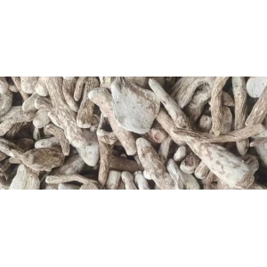低价山药成为关注焦点 未来机遇几何？