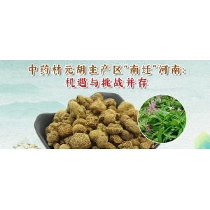 中药材元胡主产区“南迁”河南：机遇与挑战并存