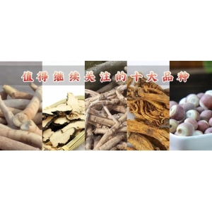 值得继续关注的十大品种