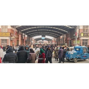 平邑金银花产地价格(2025.02.21)