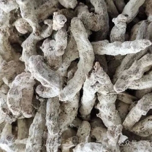 涨！涨！涨！商家抄底+需求提升，这些药材行情持续升温，人气值迅速走高！