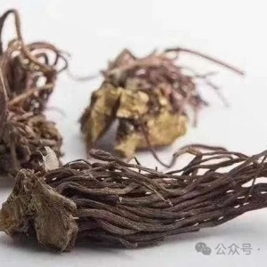 中药材涨价还要看小品种，低价抄底反弹和人气高涨推进成涨价主基调！