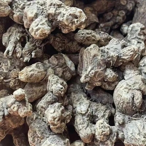 2025年春种序幕拉开，这几个生产过剩的药材还是慎重选择的好！