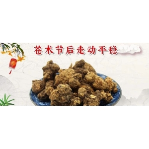苍术节后走动平稳