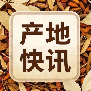 每日推荐|产地资讯聚焦（2.27）