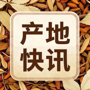 每日推荐|产地资讯聚焦（4.1）