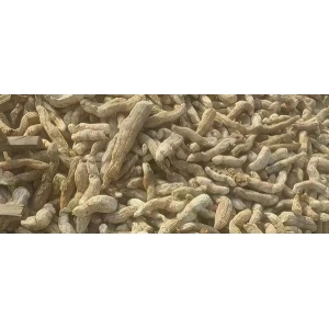 投稿资讯|天花粉市场行情深度分析及未来走势预判