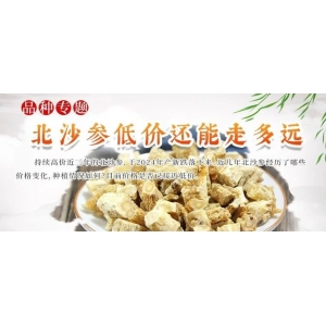 北沙参低价还能走多远