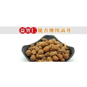 益智仁能否继续高升