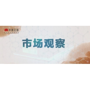 云瓴观察 | 低价山药的未来行情将何去何从？