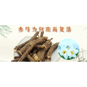 赤芍为何涨而复落