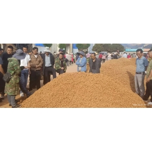 文山三七和中药产业协会三七行情参考（2025年4月21-4月27日）