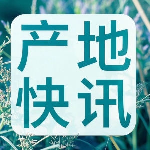 每日推荐|产地资讯聚焦（4.30）