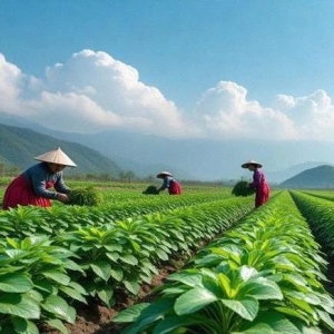 每日推荐|产地资讯聚焦（4.27）