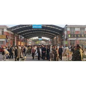 平邑金银花产地价格(2025.04.30）