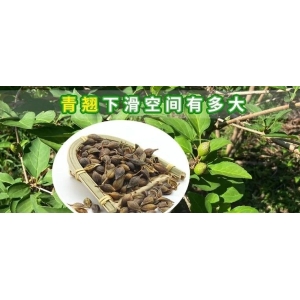 青翘下滑空间有多大