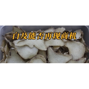 白及能否再现商机