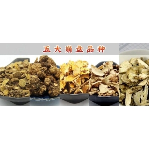 五大崩盘品种
