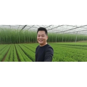 从“单枪匹马”到“众人拾柴”：高久恒与他的药材平台破圈之路