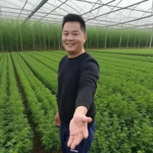 高久恒这五年：从30万粉丝到中医药大健康，我们的酸甜苦辣！