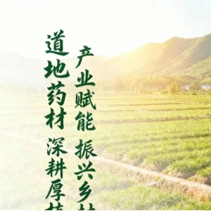 <strong>药材行业烂摊子怎么破？这位老党员砸了铁饭碗，搞了三个“猛项目</strong>