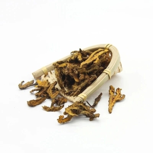 中药材市场快讯7月1日