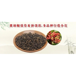 黑胡椒强势反弹领涨，多品种行情分化