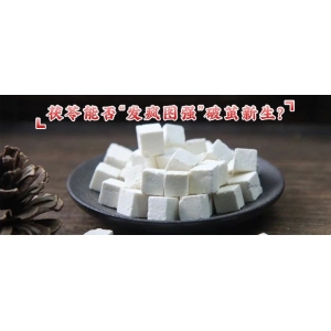 茯苓能否“发疯图强”破茧新生？