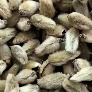 来瞧瞧，这几个低价药材行情又“抬头”了！