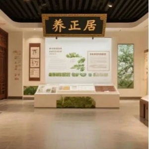 睡一觉把疲惫“拔”出来！这家中医药特色酒店，专治都市人的“电