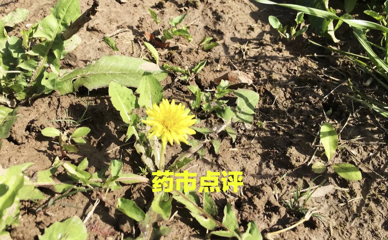 微信图片_20221030172411.jpg